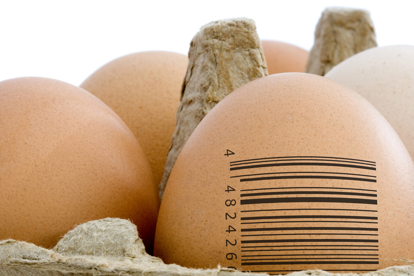 Food Traceability Concept - Barcode on egg